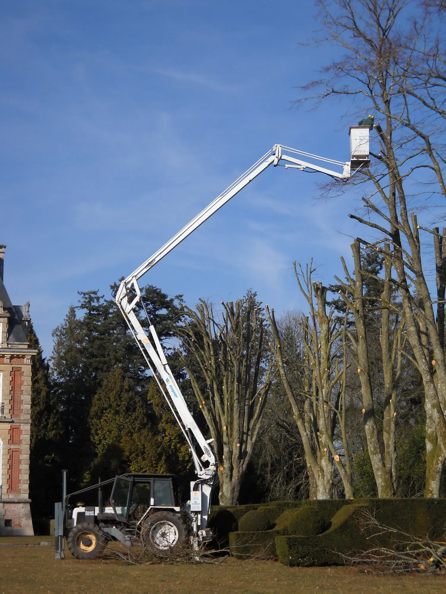 Nacelle sur tracteur élaguant de grands arbres dans le parc d'un château