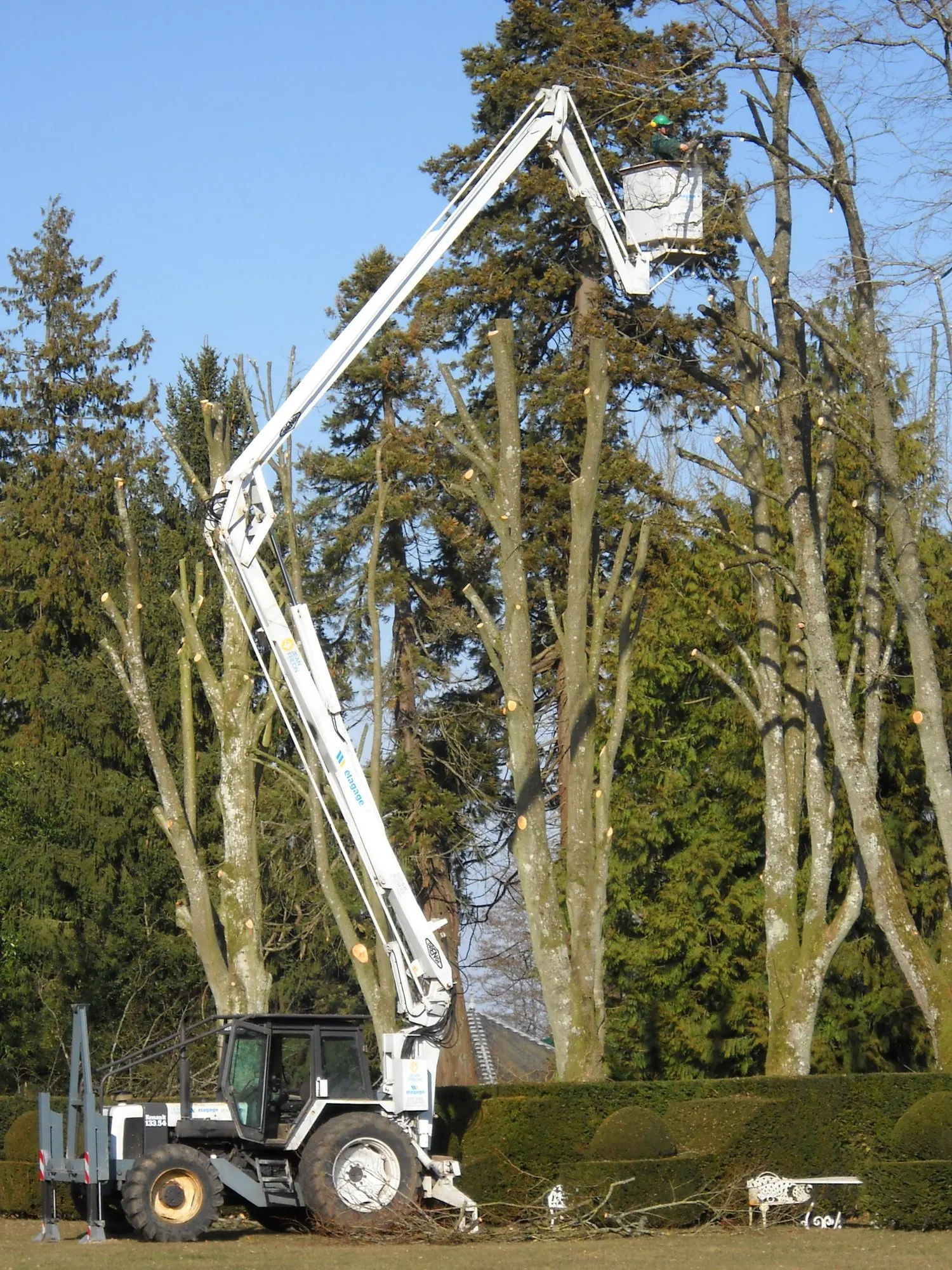 Nacelle sur tracteur, bras déployé dans de grands arbres en élagage