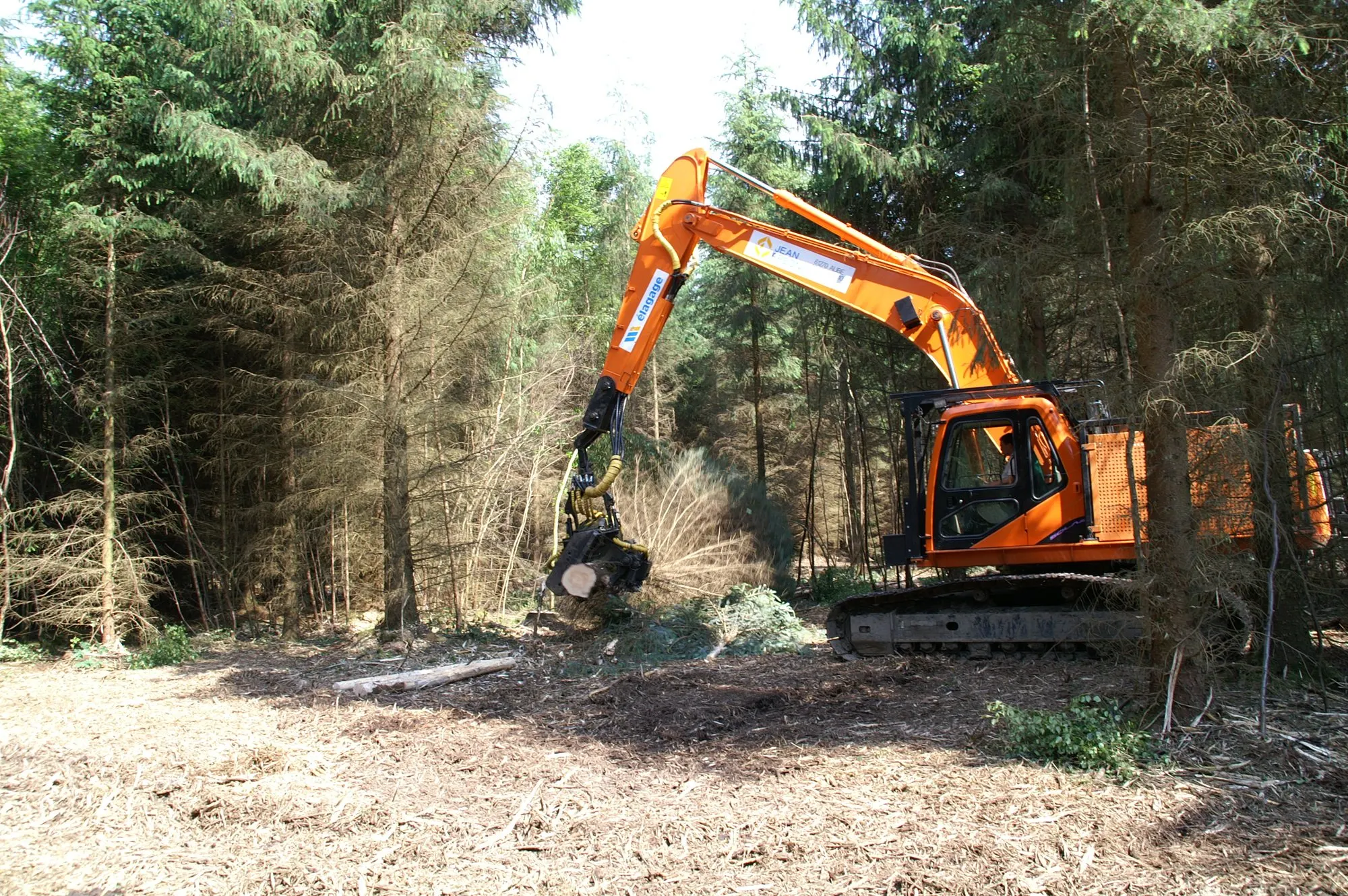 Pelle équipée d’une tête abatteuse dans une forêt de résineux